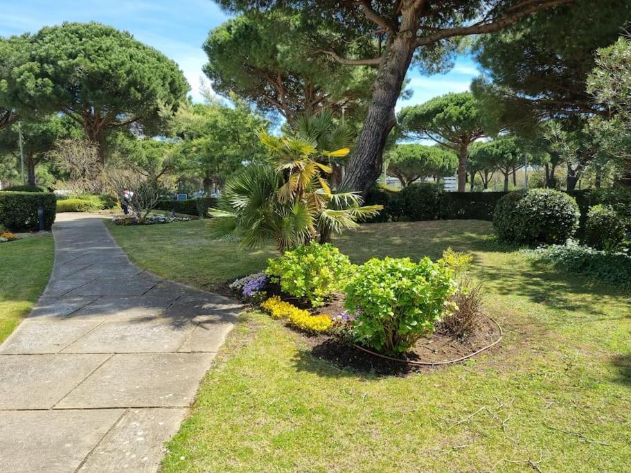 Superbe T2 Tout Confort 3 Etoiles, Entierement Renove Avec Piscine, Parking, Clim, Wifi, Netflix La Grande-Motte Kültér fotó